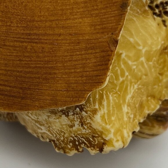 Harmony Kingdom Of the Same Stripe tiger trinket box jar England - Picture 9 of 12